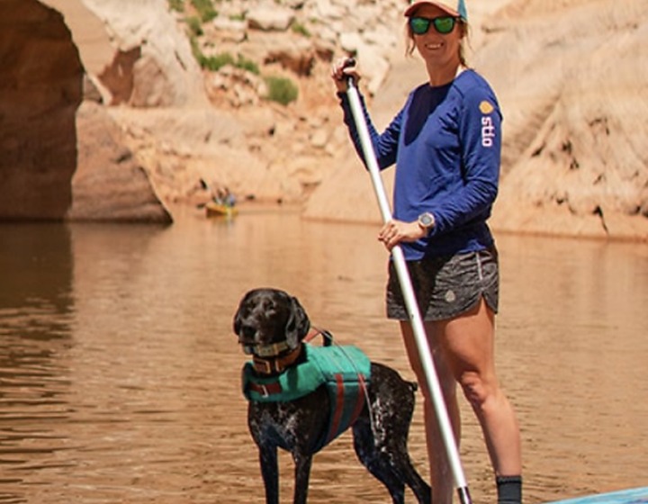 Dog on a paddle board outdoors